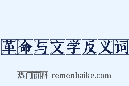 革命与文学反义词是什么意思的图片